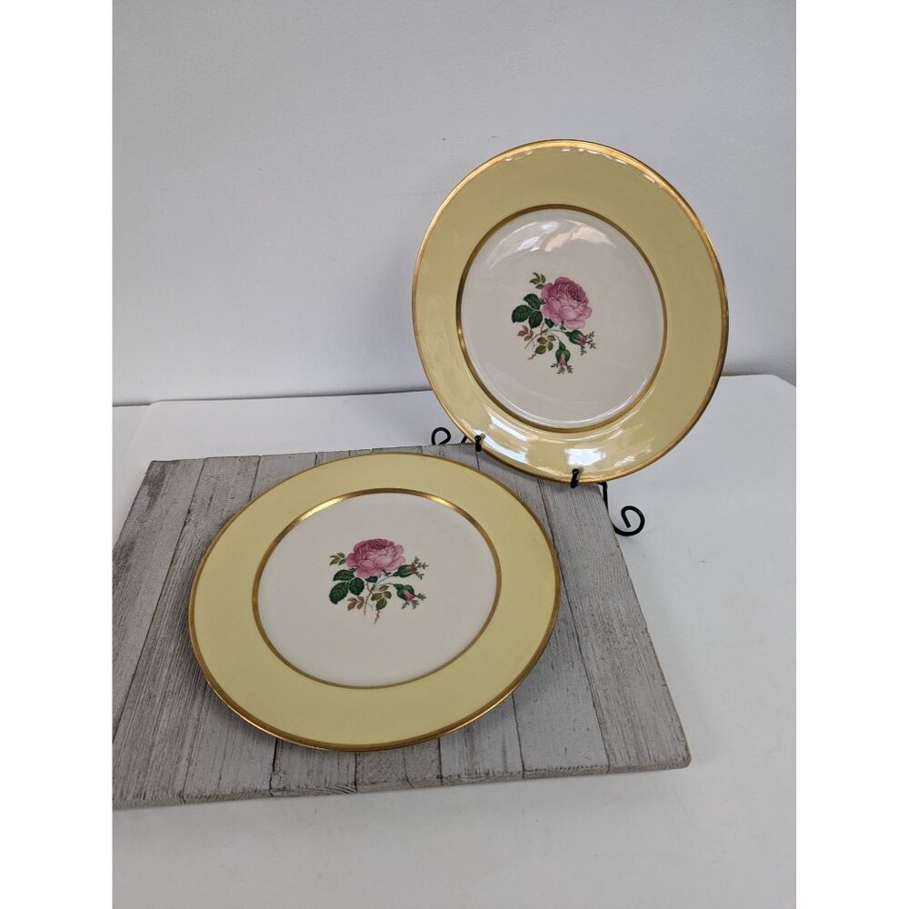 FL11 Yellow Dinner Plates Set of 2 California Gold Flintridge Sylvan China